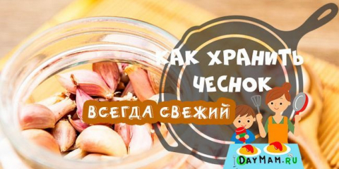 Jak ukládat česnek doma